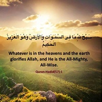 Whatever is in the heavens and the earth glorifies Allah and He is All-Mighty All-Wise - Quran Hadid 57-1